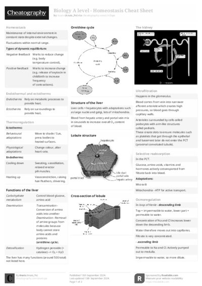 PDF (Black & white) — Style 2