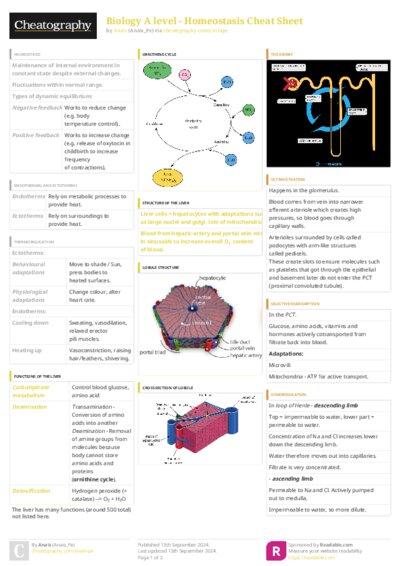 PDF (Colour) — Style 3