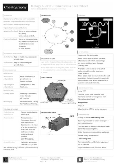 PDF (Black & white) — Style 3
