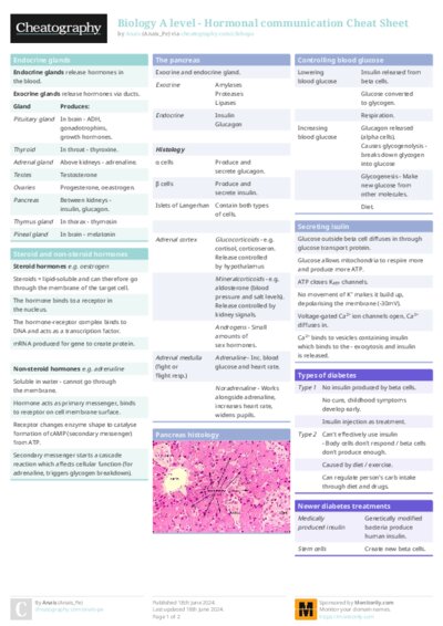 PDF (Colour) — Style 1