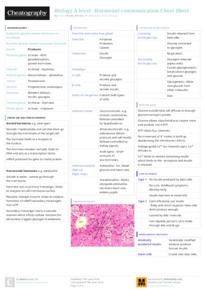 PDF (Colour) — Style 3