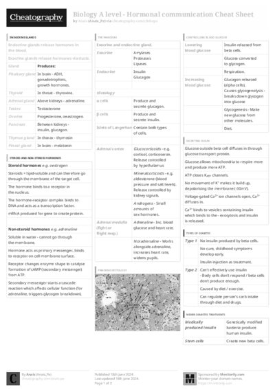 PDF (Black & white) — Style 3