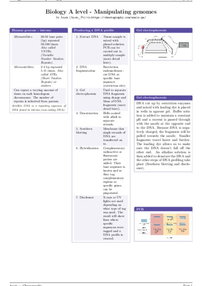 LaTeX (Compiled PDF)