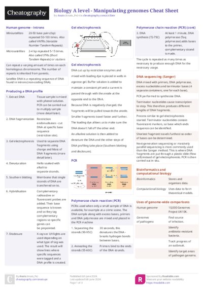 PDF (Colour) — Style 2