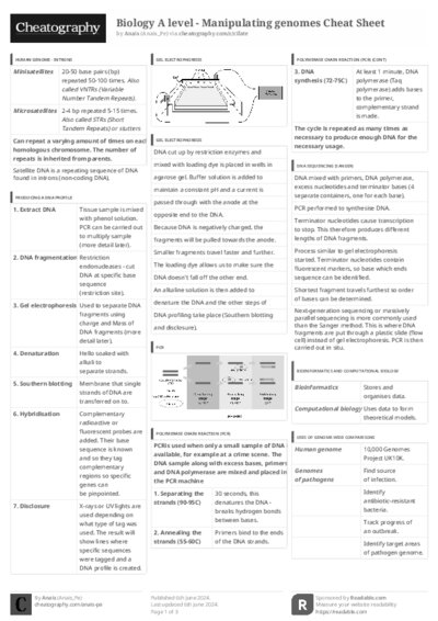 PDF (Black & white) — Style 3