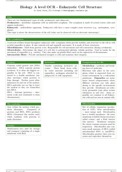 LaTeX (Compiled PDF)