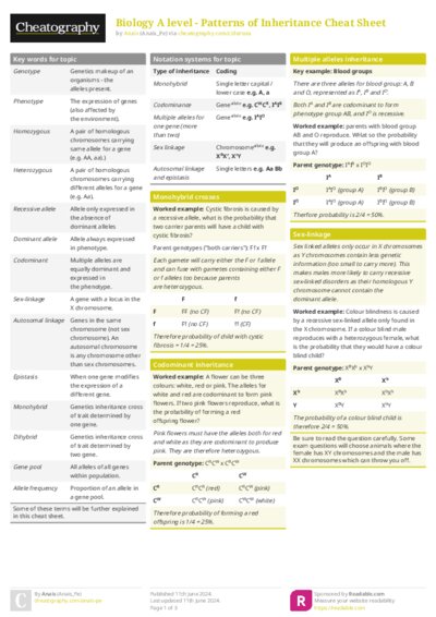 PDF (Colour) — Style 1