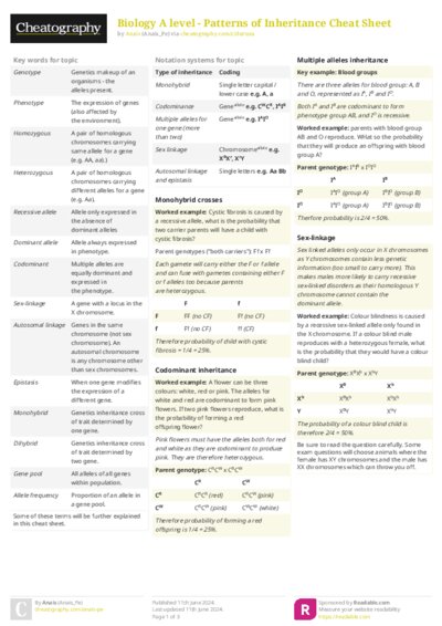 PDF (Colour) — Style 2