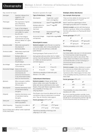 PDF (Black & white) — Style 2