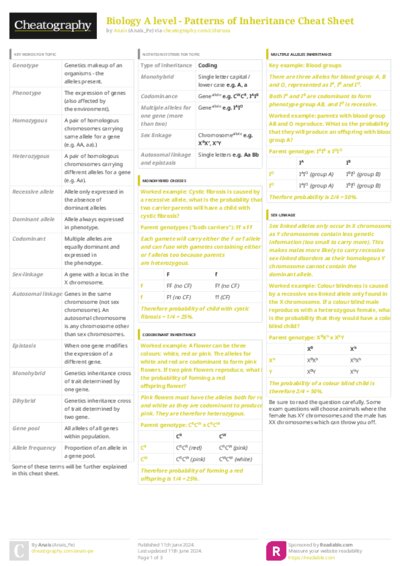 PDF (Colour) — Style 3
