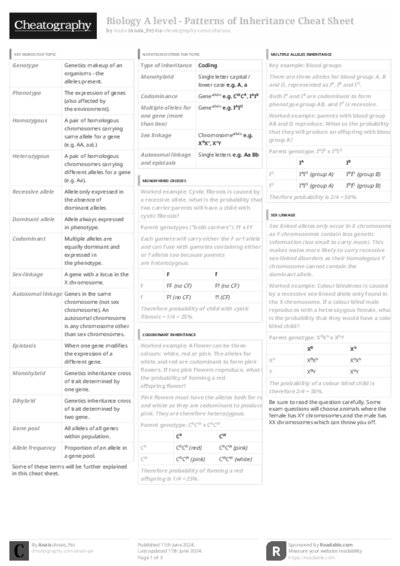 PDF (Black & white) — Style 3