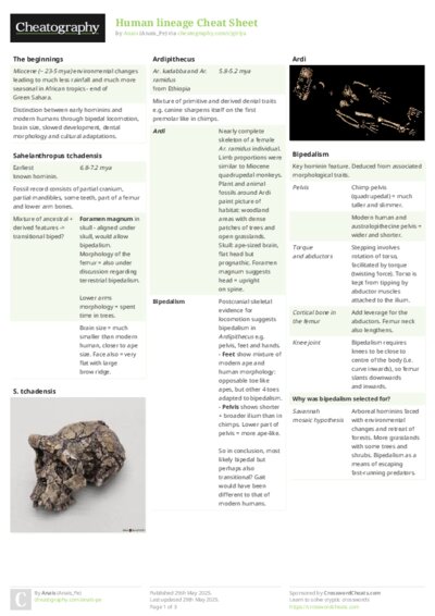Human lineage Cheat Sheet