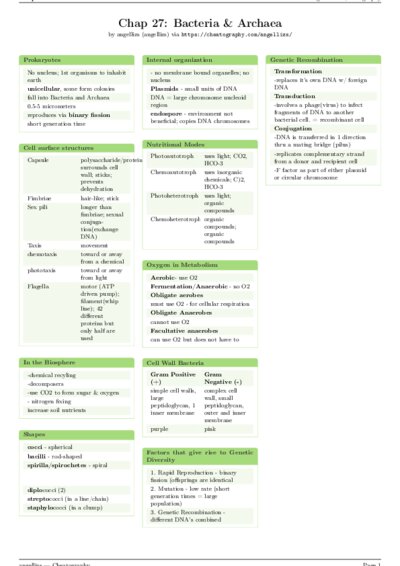 LaTeX (Compiled PDF)