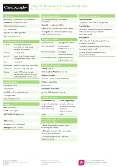 PDF (Colour) — Style 1