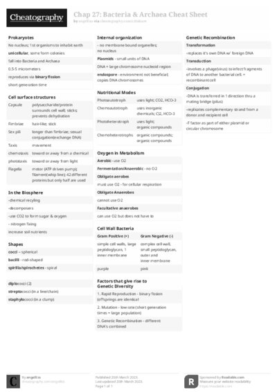 PDF (Black & white) — Style 2