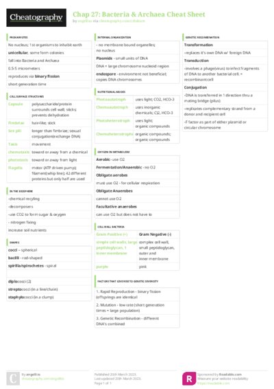 PDF (Colour) — Style 3