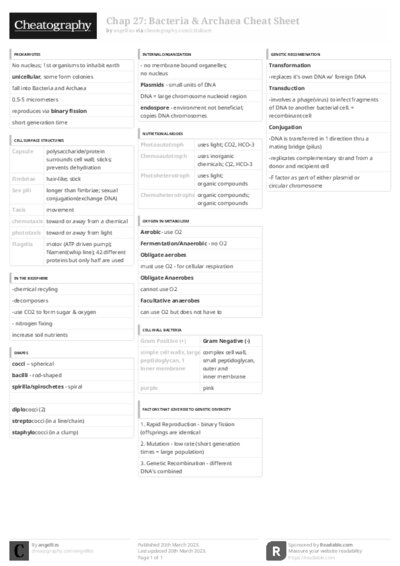 PDF (Black & white) — Style 3