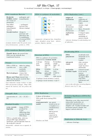 LaTeX (Compiled PDF)