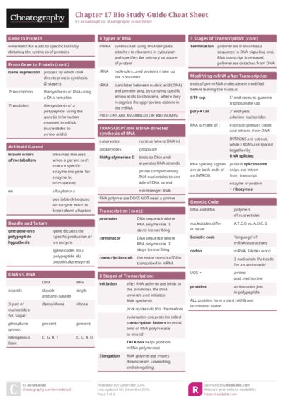 Chapter 17 Bio Study Guide Cheat Sheet