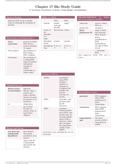 LaTeX (Compiled PDF)
