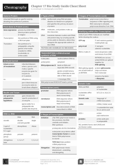 PDF (Black & white) — Style 1