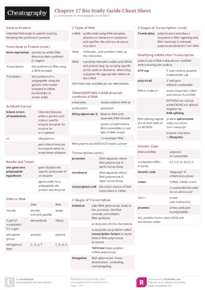 PDF (Colour) — Style 2