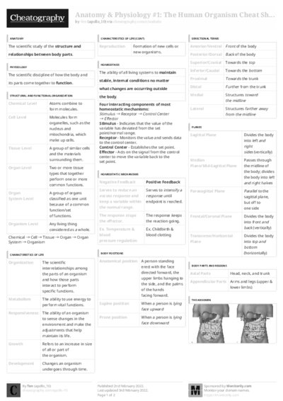 PDF (Black & white) — Style 3