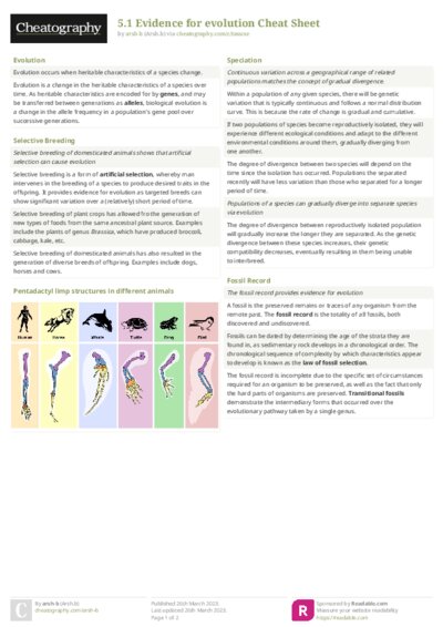 PDF (Colour) — Style 2