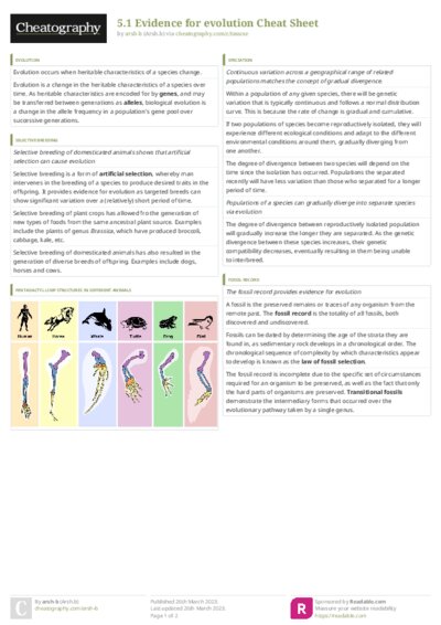 PDF (Colour) — Style 3