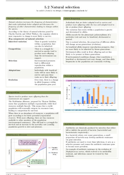 LaTeX (Compiled PDF)
