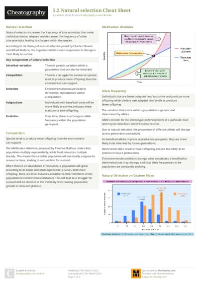 PDF (Colour) — Style 2