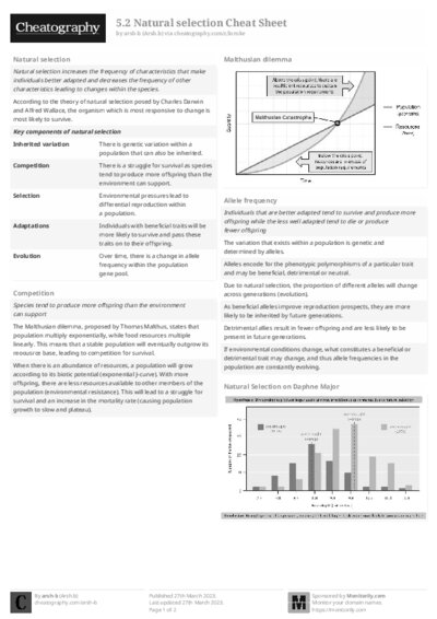 PDF (Black & white) — Style 2
