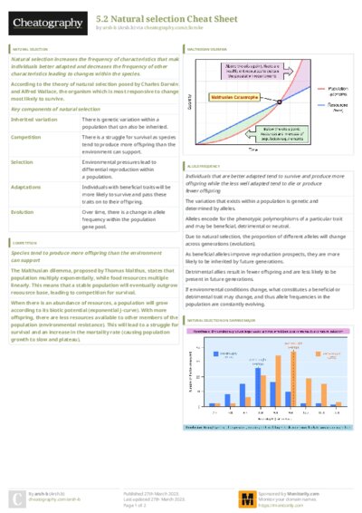 PDF (Colour) — Style 3