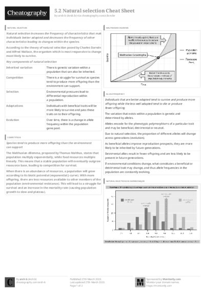 PDF (Black & white) — Style 3