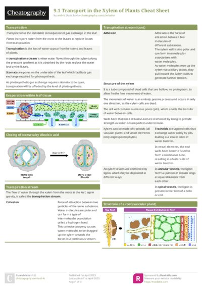 9.1 Transport in the Xylem of Plants Cheat Sheet