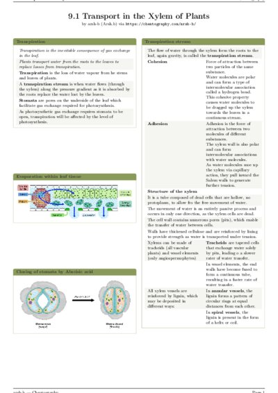 LaTeX (Compiled PDF)