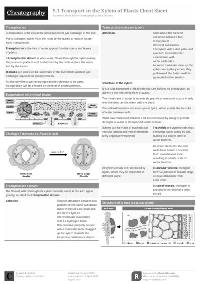 PDF (Black & white) — Style 1