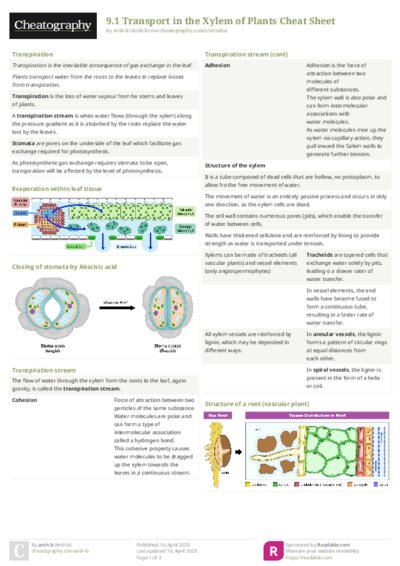PDF (Colour) — Style 2