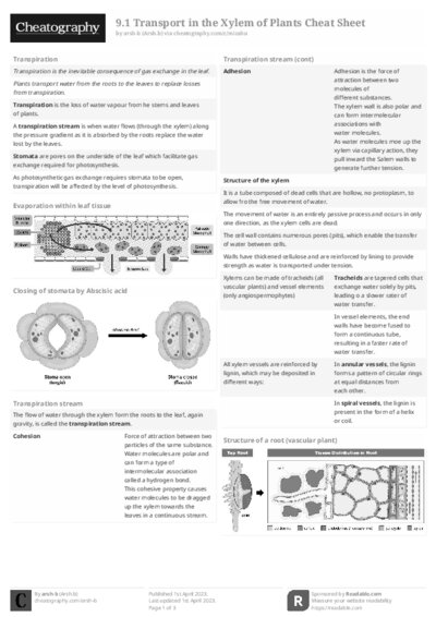 PDF (Black & white) — Style 2