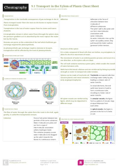 PDF (Colour) — Style 3