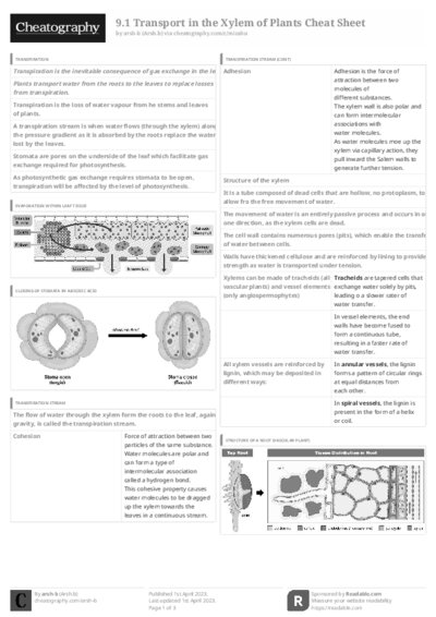 PDF (Black & white) — Style 3
