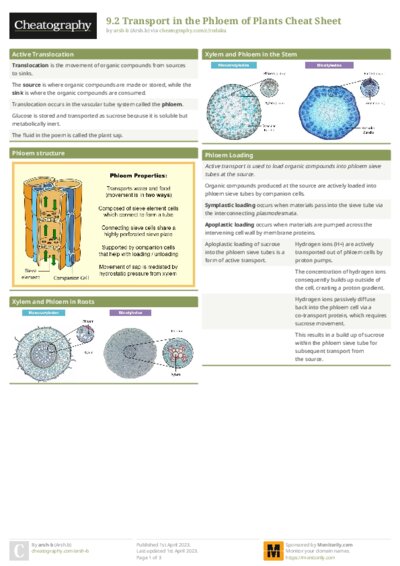 9.2 Transport in the Phloem of Plants Cheat Sheet