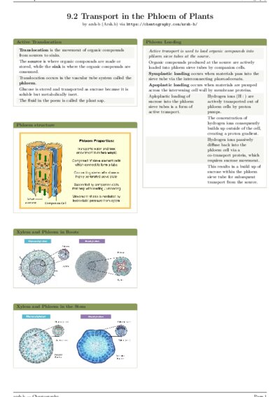 LaTeX (Compiled PDF)