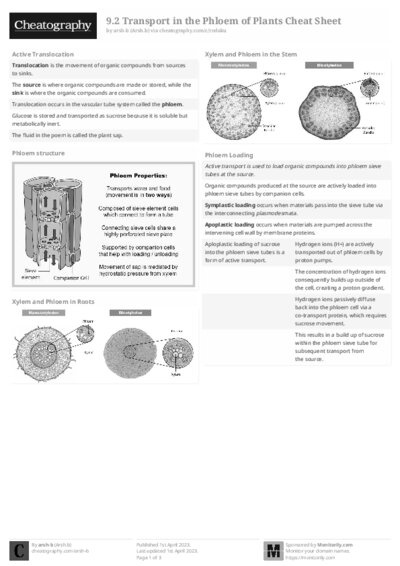 PDF (Black & white) — Style 2