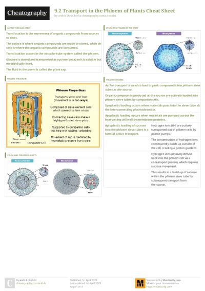 PDF (Colour) — Style 3