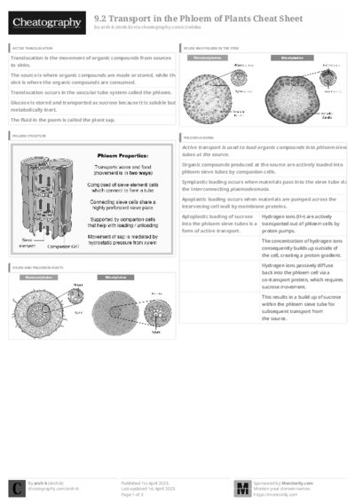 PDF (Black & white) — Style 3
