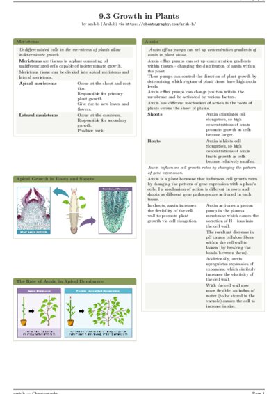 LaTeX (Compiled PDF)