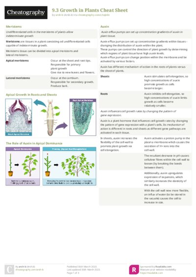 PDF (Colour) — Style 2