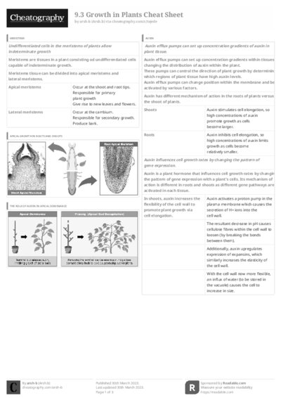 PDF (Black & white) — Style 3