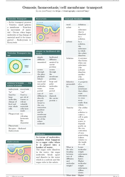 LaTeX (Compiled PDF)